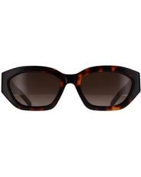 BOSS - Cat Eye Havana Gradient Boss 1937/S - Lyst