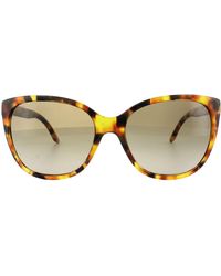 Versace - Cat Eye Havana Brown Gradient Sunglasses - Lyst