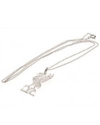Liverpool Fc - Sterling Silver Liverbird Pendant And Chain - Lyst