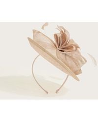 Monsoon - Floral Small Disc Fascinator - Lyst