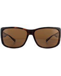 Polaroid - Suncovers Wrap Havana Brown Copper Polarized Sunglasses - Lyst