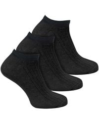 Sock Snob - 3 Pack 100% Cotton Trainer Socks - Lyst