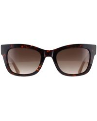 Kate Spade - Cat Eye Havana Gradient Ks Aimee/S - Lyst