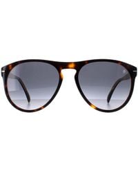 David Beckham - Round Dark Tortoise Gradient Db1008/S - Lyst