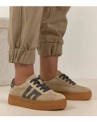 Love Lace - Platform Round Toe Chunky Trainers With 3.5Cm Platform - Lyst
