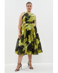 Coast - Plus Size Belted Jacquard Fit And Flare Dress - Lyst