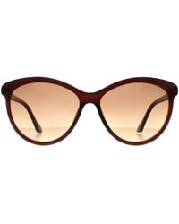 Calvin Klein - Cat Eye Crystal Gradient Ck19534S - Lyst
