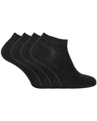 Sock Snob - 4 Pack Luxury Bamboo Low Cut Trainer Socks - Lyst