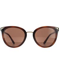 Vogue - Cat Eye Top Havana Brown Transparent Dark Brown Sunglasses - Lyst