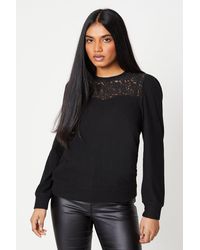 Dorothy Perkins - Petite Lace Insert Detail Brushed Long Sleeve Top - Lyst