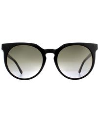 Lacoste - Round Black Grey Gradient Sunglasses - Lyst