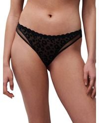 Chantelle - Girls Tanga - Lyst