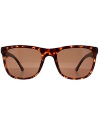 Police - Rectangle Matte Dark Havana Brown Spl357 Blackbird Light 2 Sunglasses - Lyst