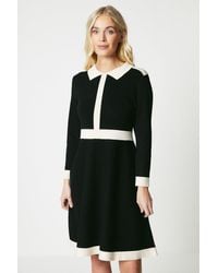 Wallis - Petite Tipped Collar Knitted Dress - Lyst