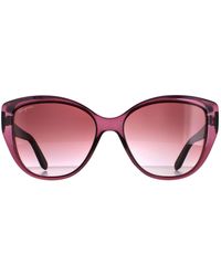 Ferragamo - Cat Eye Transparent Wine With Flower Print Brown Gradient Sf912s - Lyst