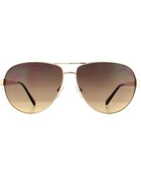 Guess - Aviator Gold Brown Gradient Sunglasses - Lyst