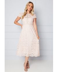 Wallis - Lace Fit & Flare Midi Dress - Lyst