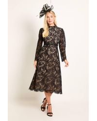 Wallis - Petite Lace Trim Fit & Flare Midi Dress - Lyst