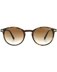 Tom Ford - Round Dark Havana Brown Gradient Sunglasses - Lyst