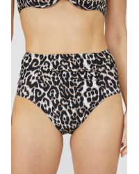 DEBENHAMS - Leopard Print High Waisted Bikini Bottom - Lyst