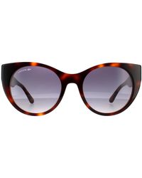 Lacoste - Cat Eye Havana Blue Gradient Sunglasses - Lyst