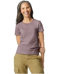 Gildan - Ringspun Cotton Soft Touch T-Shirt - Lyst