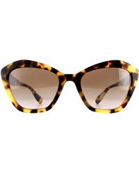Miu Miu - Fashion Light Havana Grad Brown Mirror Silver Sunglasses - Lyst