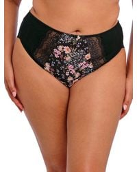 Elomi - Morgan High Leg Brief - Lyst