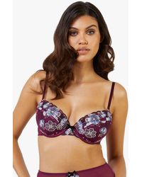 Playful Promises - Joanna Burgundy Gold Embroidery Padded Plunge Bra - Lyst