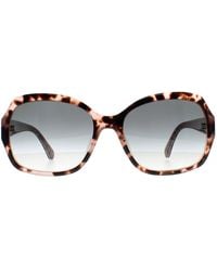 Kate Spade - Butterfly Havana Pattern Gradient Amberlynn/S - Lyst