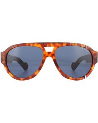 Moncler - Aviator Havana Blue Sunglasses - Lyst