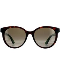 Gucci - Round Havana With Green And Red Brown Gradient Sunglasses - Lyst