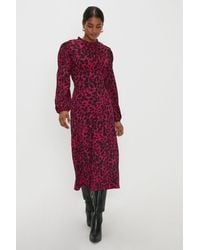 Dorothy Perkins - Pink Leopard Frill Neck Midi Dress - Lyst