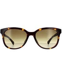 Calvin Klein - Round Shiny Tortoise Brown Gradient Sunglasses - Lyst