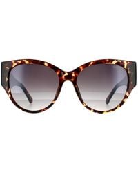 Guess - Cat Eye Dark Havana Smoke Mirror Gf6118 Sunglasses - Lyst