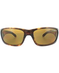 Arnette - Wrap Havana Brown Polarized 4178 Quick Draw Sunglasses - Lyst