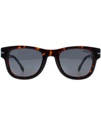Carrera - Rectangle Dark Havana 330/S - Lyst