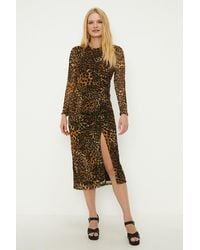Oasis - Animal Ruched Front Mesh Midi Dress - Lyst
