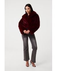 Pink Vanilla - Cropped Fur Jacket - Lyst