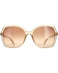 Calvin Klein - Butterfly Crystal Beige Brown Gradient Ck19561s Sunglasses - Lyst