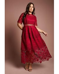 Coast - Plus Short Sleeve Lace Midi Dress - Lyst