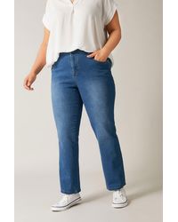 Evans - Straight Leg Jeans - Lyst