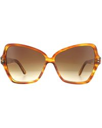 Celine - Fashion Havana Brown Gradient Sunglasses - Lyst
