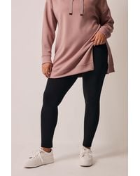 Evans - Cotton Stretch Leggings - Lyst