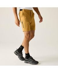 Regatta - Anti-Insect Travel Light Shorts - Lyst