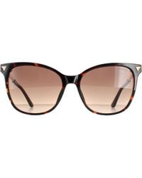 Guess - Cat Eye Dark Havana Brown Gradient Gu7684 Sunglasses - Lyst