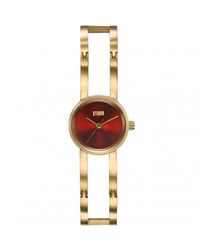 Storm - Omie Gold Red Stainless Steel Fashion Quartz Watch - 47469/gd/r - Lyst