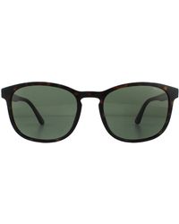 Police - Square Shiny Havana Green Sunglasses - Lyst