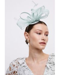 Coast - Loop And Feather Fascinator - Lyst