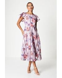 Coast - Print Stripe Organza Pleat Shoulder Midi Dress - Lyst